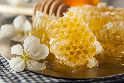 Honey Comb Honeycomb Pure Raw NY Wildflower ALL NATURAL Large